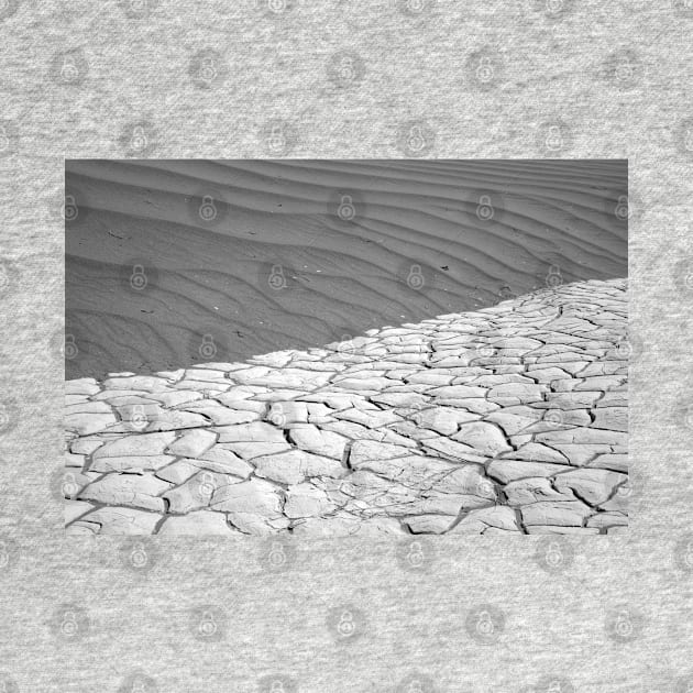 Mud Cracks and Sand Ripples in B&W by nancy.hajjar@yahoo.com